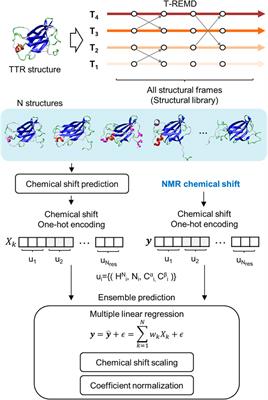 Aggregation-Prone Structural Ensembles of Transthyretin Collected With Regression Analysis for NMR Chemical Shift